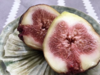 image1.jpeg