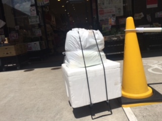 image3.jpeg