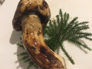 image5.jpeg