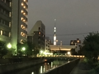 image1.jpeg
