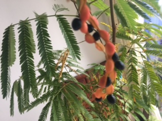 image5.jpeg