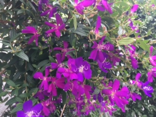 image1.jpeg