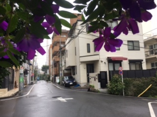image2.jpeg