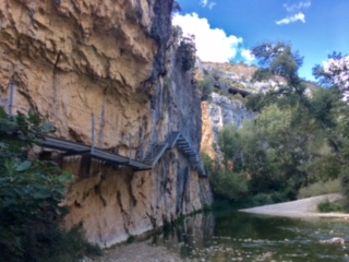 image5.jpeg