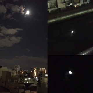 image1.jpeg