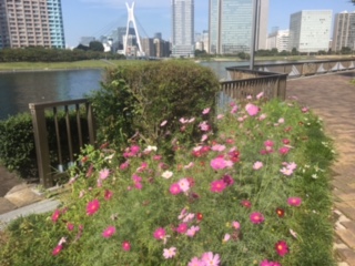 image1.jpeg