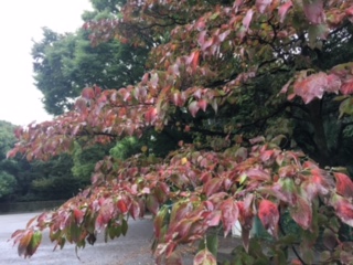 image1.jpeg