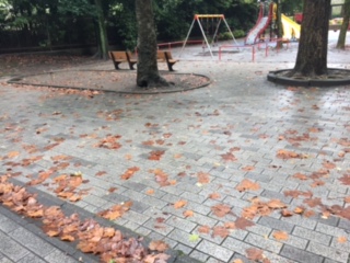 image1.jpeg