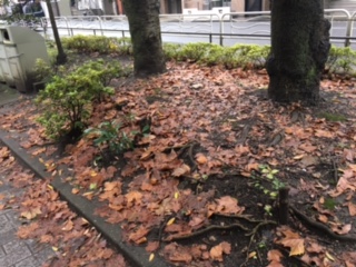 image4.jpeg