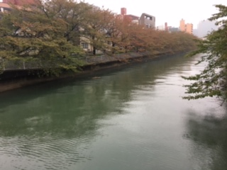 image1.jpeg