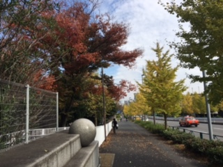 image1.jpeg