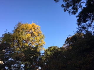 image1.jpeg