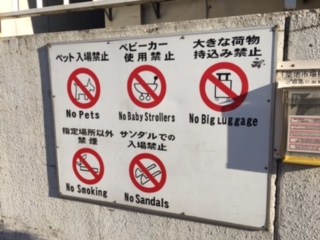image3.jpeg