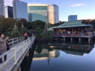 image4.jpeg