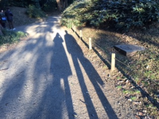 image5.jpeg