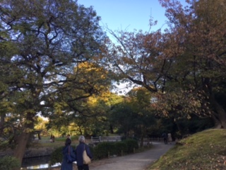 image1.jpeg
