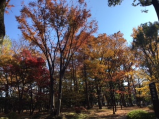 image1.jpeg