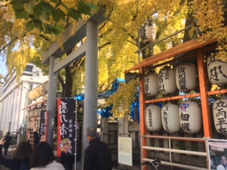 image1.jpeg