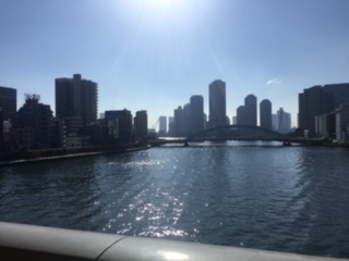 image1.jpeg