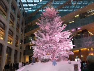 image2.jpeg