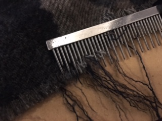image5.jpeg