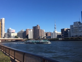 image1.jpeg