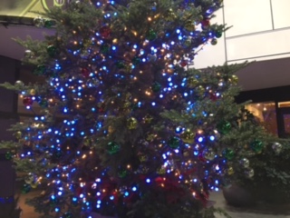 image1.jpeg