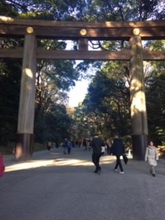 image2.jpeg
