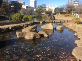 image1.jpeg