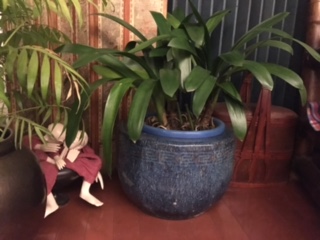 image1.jpeg