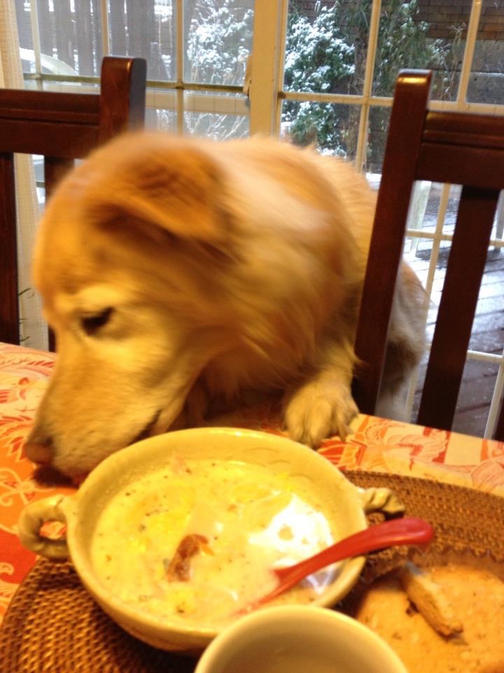 image2.jpeg