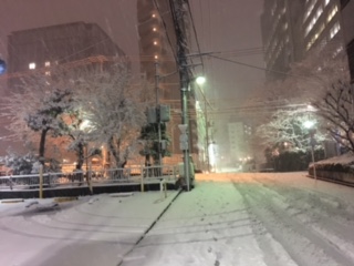 image2.jpeg