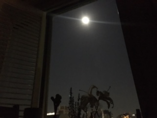 image2.jpeg