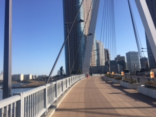 image1.jpeg
