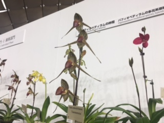 image4.jpeg