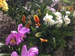 image6.jpeg