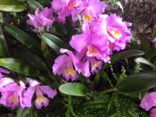 image1.jpeg