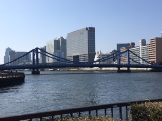 image1.jpeg