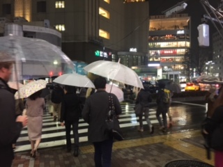 image1.jpeg