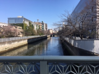 image3.jpeg