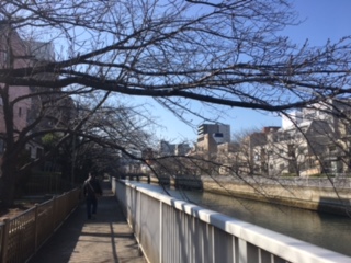 image4.jpeg