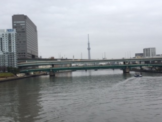 image1.jpeg