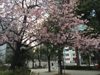 image2.jpeg
