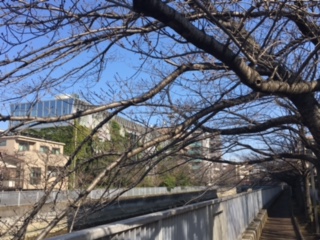 image2.jpeg