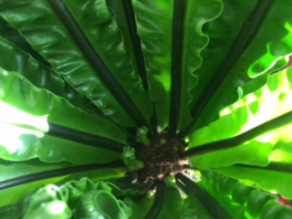 image3.jpeg