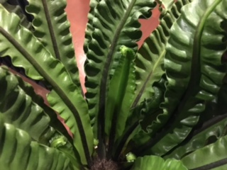 image5.jpeg