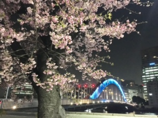 image1.jpeg