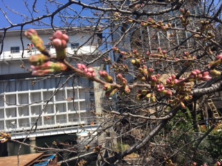 image1.jpeg