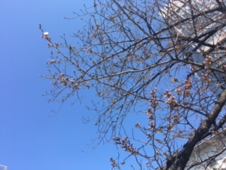 image3.jpeg