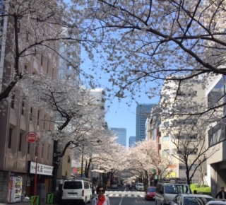 image1.jpeg